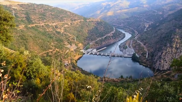 Catavino Harvest Experience