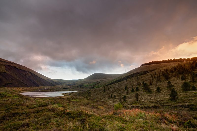 IMG 0218 19 20 fused